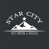 Star City Pest Control