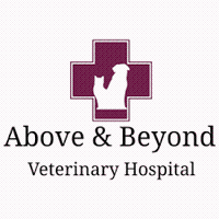 Above & Beyond Veterinary Hospital