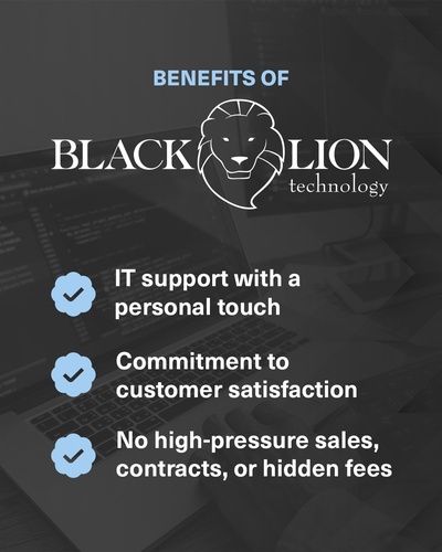 Gallery Image Black%20Lion%20Tech%20services.jpg