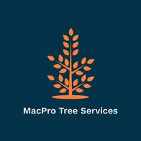 Mac Pro Tree Service