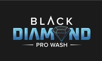 Black Diamond Pro Wash
