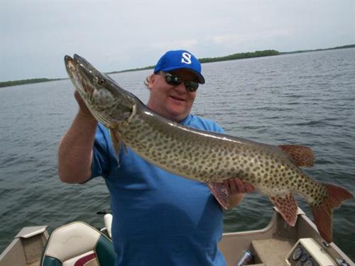 This Musky landed on Walleye Rig.  You never know!