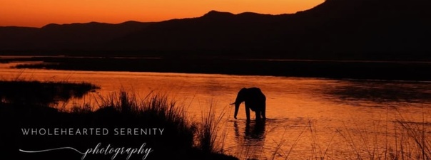  Wholehearted Serenity Photography