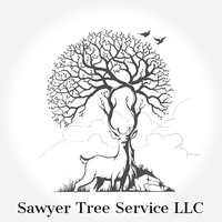 Sawyer Tree Service LLC