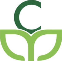 The Mint Foundation