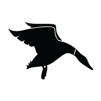 Easymoney Hunt Company, LLC
