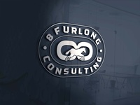 8 Furlong Consulting