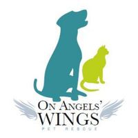 On Angels' Wings Resale Store and Pet Rescue
