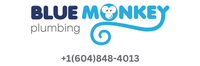 Blue Monkey Plumbing