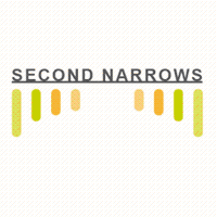 Second Narrows Technology Solutions