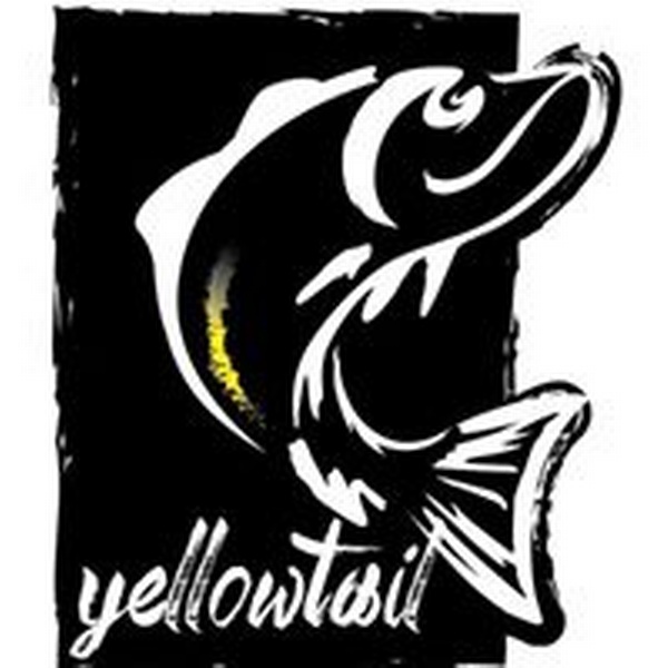 Yellowtail Sushi Bar & Asian Kitchen Yellowtail Sushi Bar & Asian Kitchen