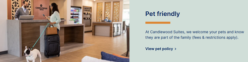 Gallery Image Screenshot%202025-09-10%20144127.png