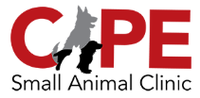 Cape Small Animal Clinic