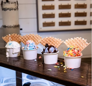 Gallery Image Screenshot%202026-03-26%20092530.png