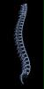 Back To Health Chiropractic Clinic Back To Health Chiropractic Clinic