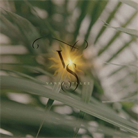 Vanni Stylez Beauty & Education LLC