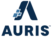 Auris Payroll