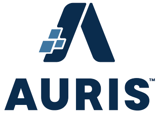 Auris Payroll