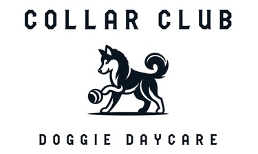 Collar Club Doggie Daycare Collar Club Doggie Daycare
