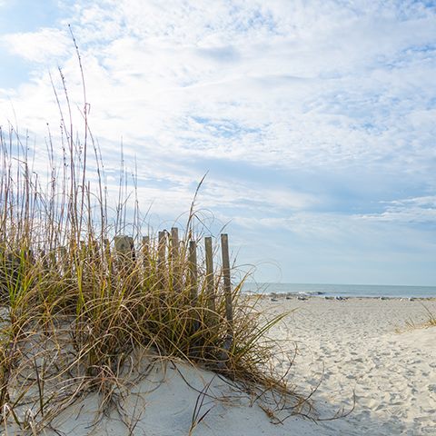 From bikes to beaches, Hilton Head Island has everything you need for a perfect island escape. Have you booked your Hilton Head vacation?