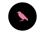 Pink Crow