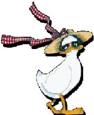 Lucky Duck Travel Agency