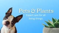Pets & Plants