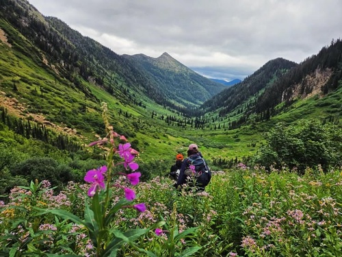 Gallery Image w3.jpg