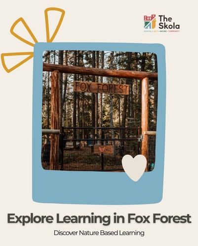 Gallery Image s3.jpg