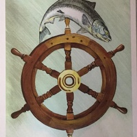 Ship Out Inc.
