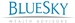 BlueSky Wealth Advisors, LLC