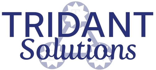 Tridant Solutions, Inc.