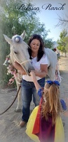 All the King's Horses of Robison Ranch (501c3)
