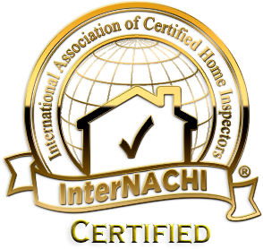 Gallery Image Nachi%20Gold.png