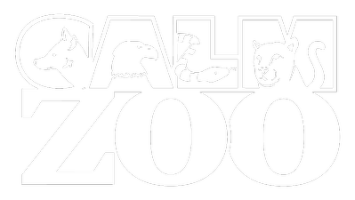 CALM Zoo CALM Zoo