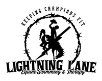 Lightning Lane Equine Swimming and Rehab