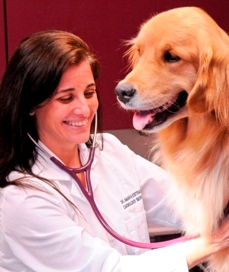 Gallery Image AmaraEstrada.jpg Gallery Image AmaraEstrada.jpg