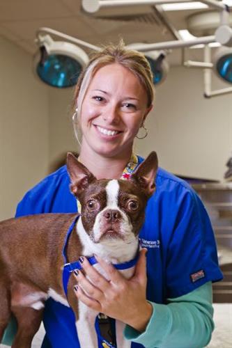 Gallery Image VetMed_0185-1.jpg Gallery Image VetMed_0185-1.jpg