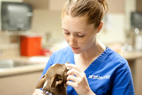 Gallery Image _MG_5647-500.gif Gallery Image _MG_5647-500.gif