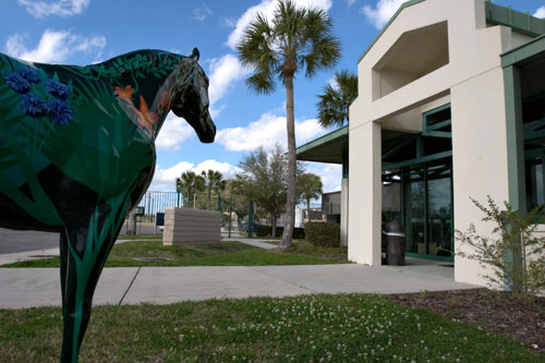 UF Large Animal Hospital in Gainesville, Florida UF Large Animal Hospital in Gainesville, Florida