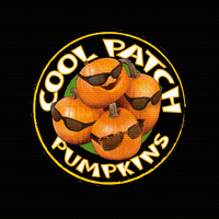 Cool Patch Pumpkins