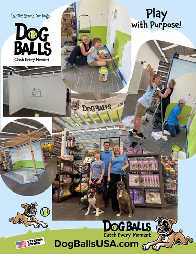 Dog Balls Promotional Flier #1 Dog Balls Promotional Flier #1
