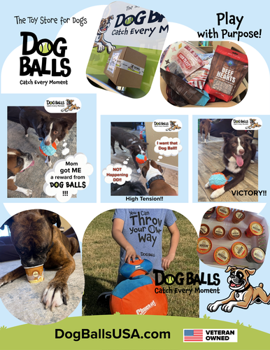 Dog Balls Promotional Flier #3 Dog Balls Promotional Flier #3