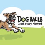 Dog Balls Dog Balls