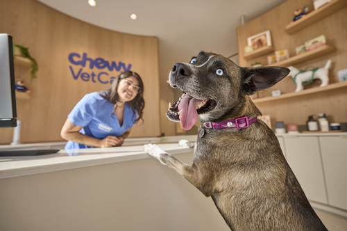 Gallery Image Chewy%201.png Gallery Image Chewy%201.png