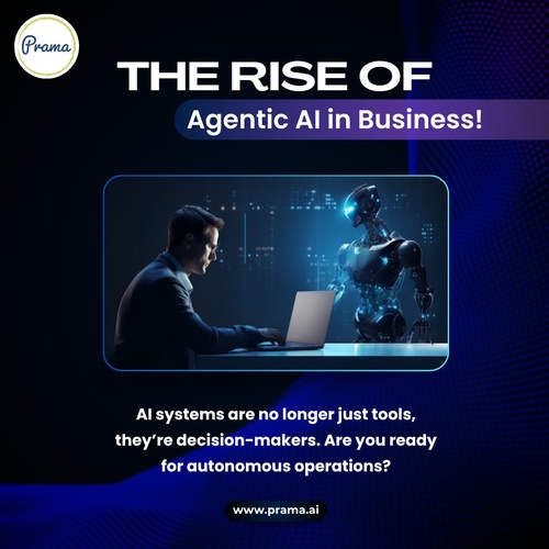 Gallery Image prama%202.jpg