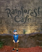 Rainforest Cafe'