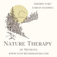 Forest Bathing Michigan | Nature Therapy of Michiana