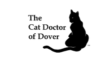 Cat Doctor of Dover
