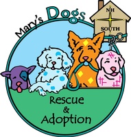 Mary’s Dogs Rescue & Adoption